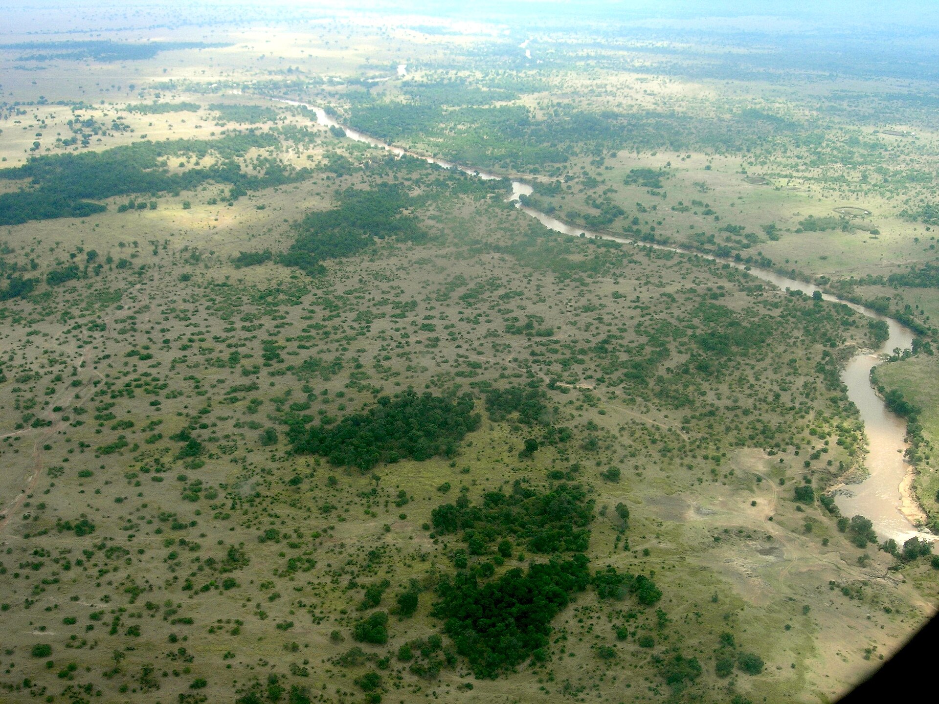 The Mara River crossing the Maasai Mara National Reserve