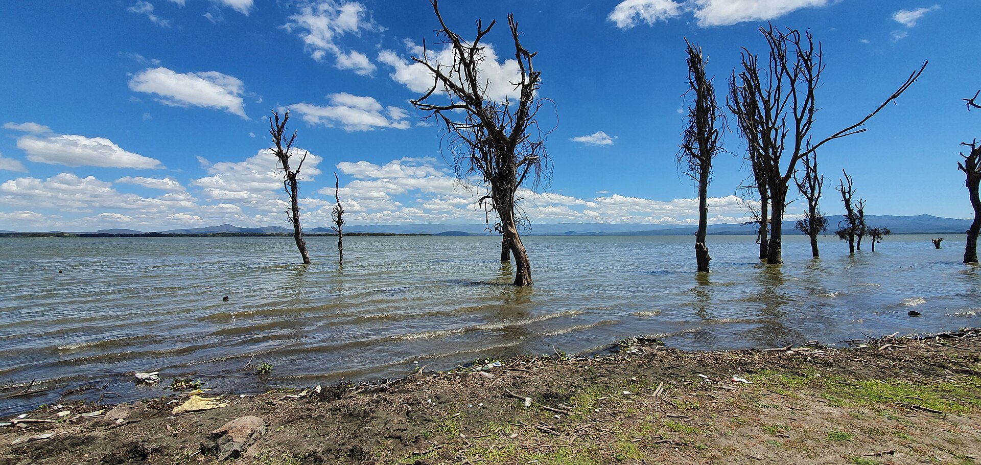 Shoreline of Lake Naivasha in the Rift Valley